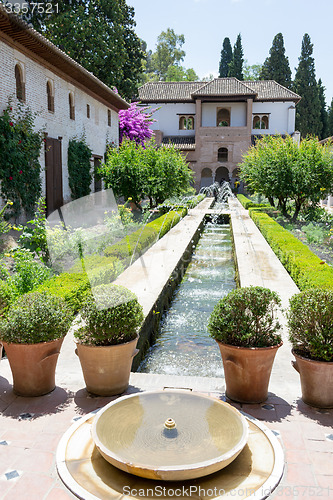 Image of Fountain in the garden