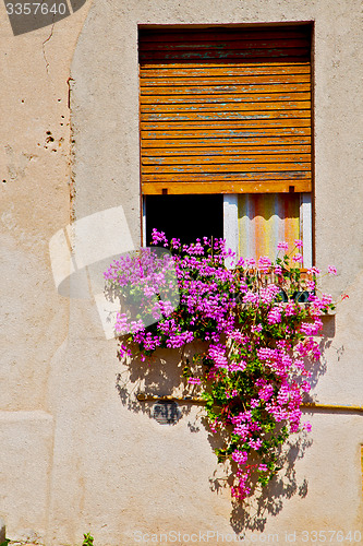 Image of in europe italy milan old architecture  flowers