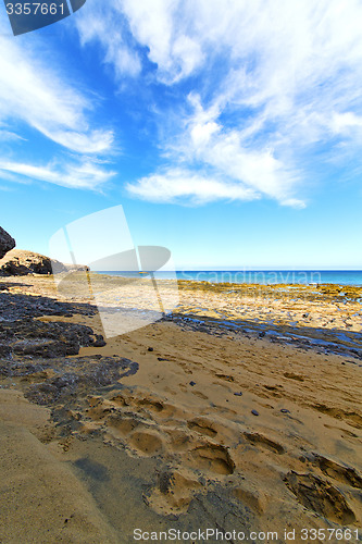 Image of white coast lanzarote  in spain   beach    and summer 