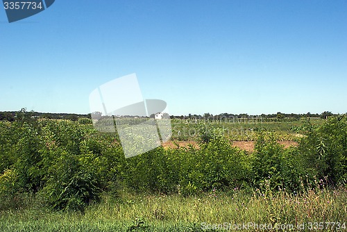 Image of the field and the house