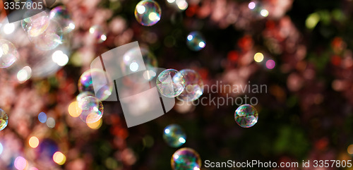 Image of Soap bubbles