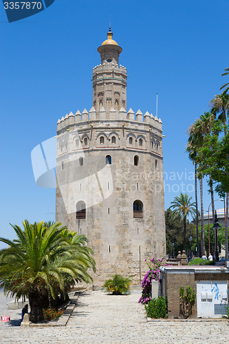 Image of Gold tower in Seville