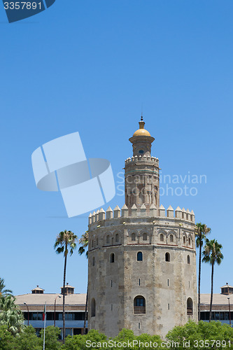 Image of Gold tower within palmtrees