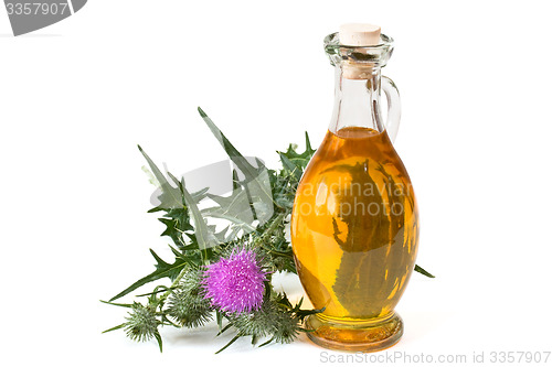 Image of Milk thistle oil