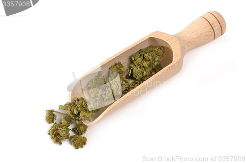 Image of Medical cannabis