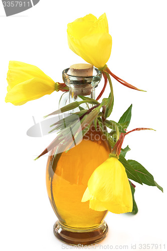 Image of Evening primrose oil