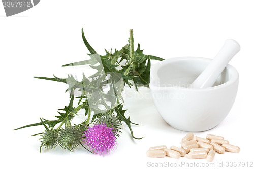 Image of Capsules of milk thistle