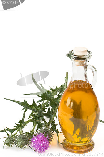 Image of Oil of milk thistle