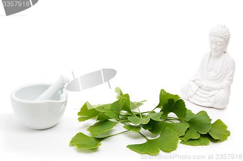 Image of Fresh ginkgo with buddha