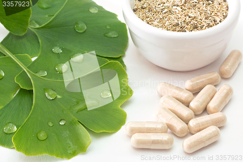 Image of Capsules of ginkgo