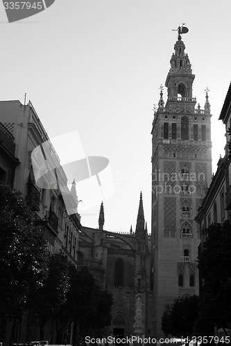 Image of La Giralda in Black and white