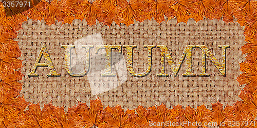 Image of Frame from the yellow leaves on the sacking