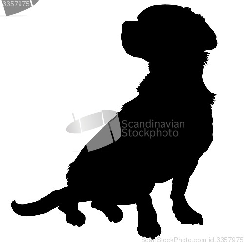 Image of Mixed Breed Silhouette