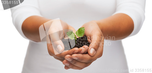 Image of woman hands holding plant in soil