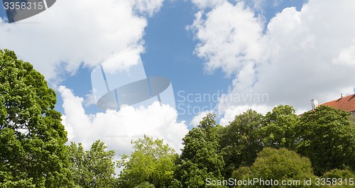 Image of trees and house roof over blue sky with clouds