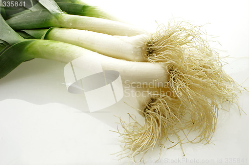 Image of Roots of leeks