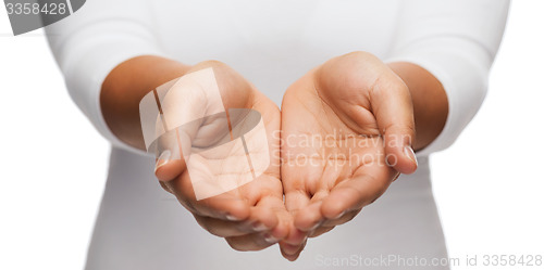 Image of womans cupped hands showing something