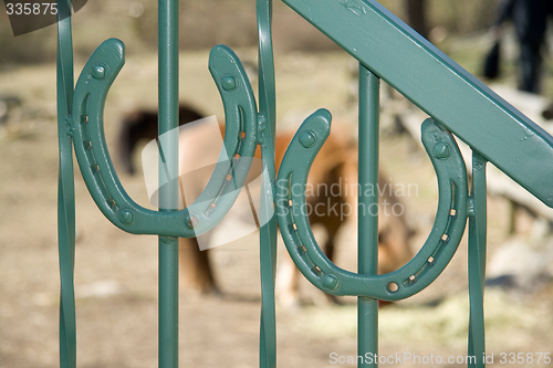 Image of Horseshoes