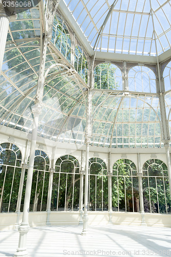 Image of Inside the crystal palace