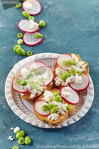 Image of toasted bread with radish and cottage cheese