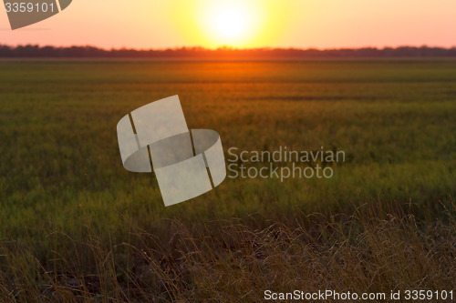 Image of Rural sunset