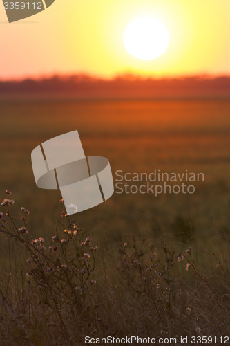 Image of Rural sunset