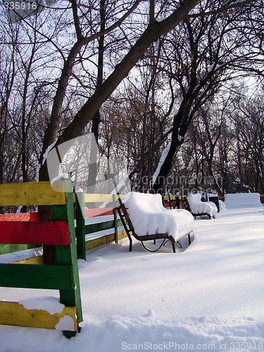 Image of Winter in the park