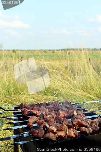 Image of appetizing barbecue on the fire in the field