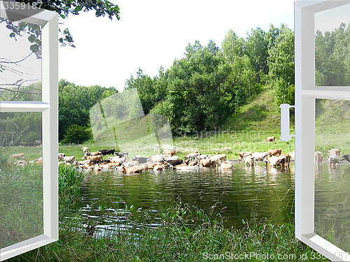 Image of Landscape with the river and cows