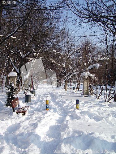Image of Winter in the park