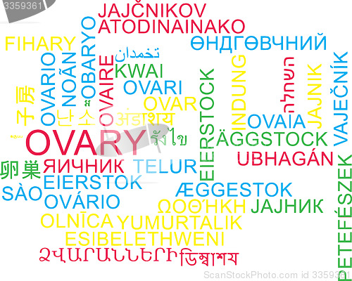 Image of Ovary multilanguage wordcloud background concept