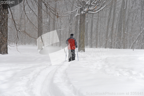 Image of Man skiing during a snowfall