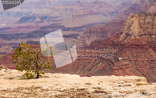 Image of Grand Canyon