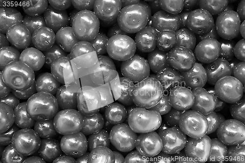 Image of black and white friuts of berries of cherry