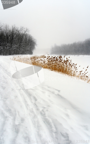 Image of Snowy path in winter landscape