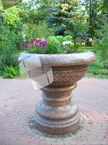 Image of beautiful flowers on the flower-bed from marble