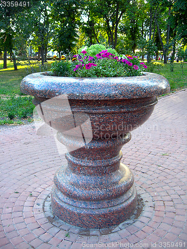 Image of beautiful flowers on the flower-bed from marble