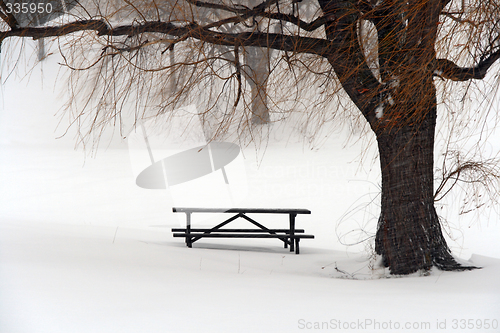 Image of Picnic table in snow under a winter tree