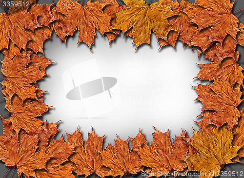 Image of Frame from the yellow leaves on the grey