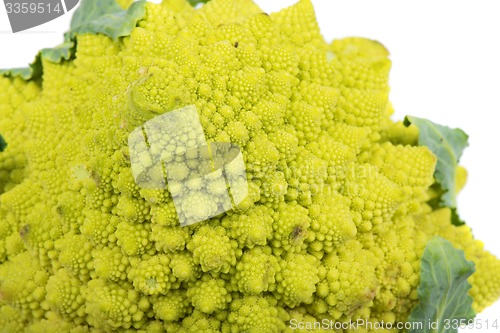 Image of Closeup of Romanesco broccoli