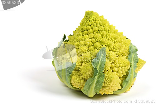 Image of Romanesco broccoli