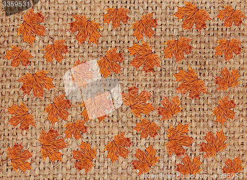 Image of texture from yellow leaves on the sacking