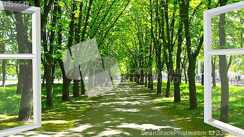 Image of window opened to the park with many green trees