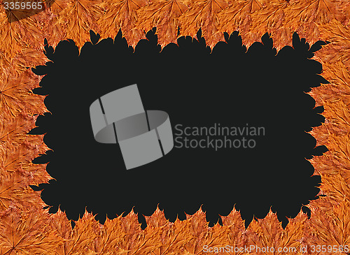 Image of Frame from the yellow leaves on the black