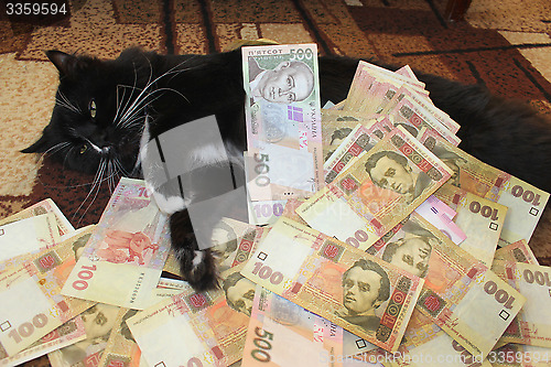Image of cat lying on the carpet with Ukrainian money
