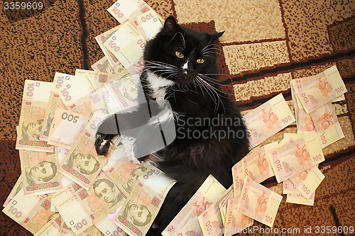 Image of cat lying on the carpet with Ukrainian money