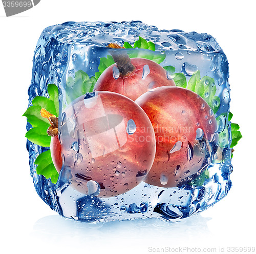 Image of Red gooseberry in ice cube