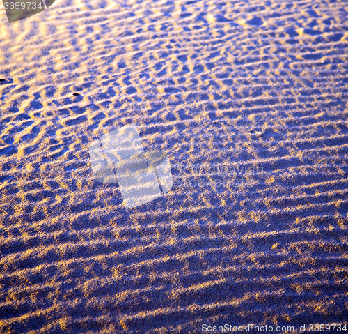 Image of africa the brown sand dune in   sahara morocco desert line