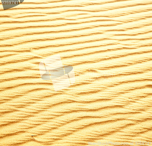 Image of africa the brown sand dune in   sahara morocco desert line