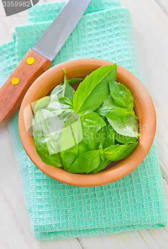 Image of fresh basil